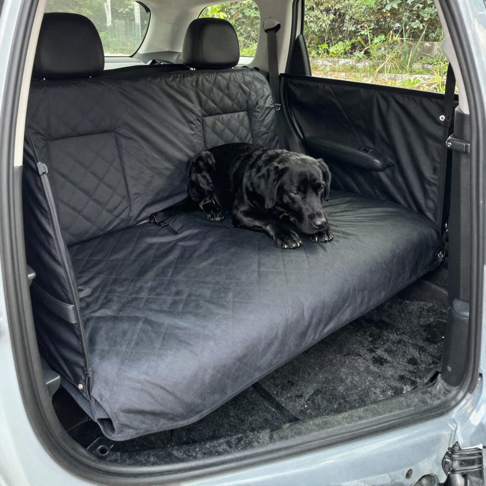 A large dog standing on a hard-bottom hammock seat cover that bridges the back footwell