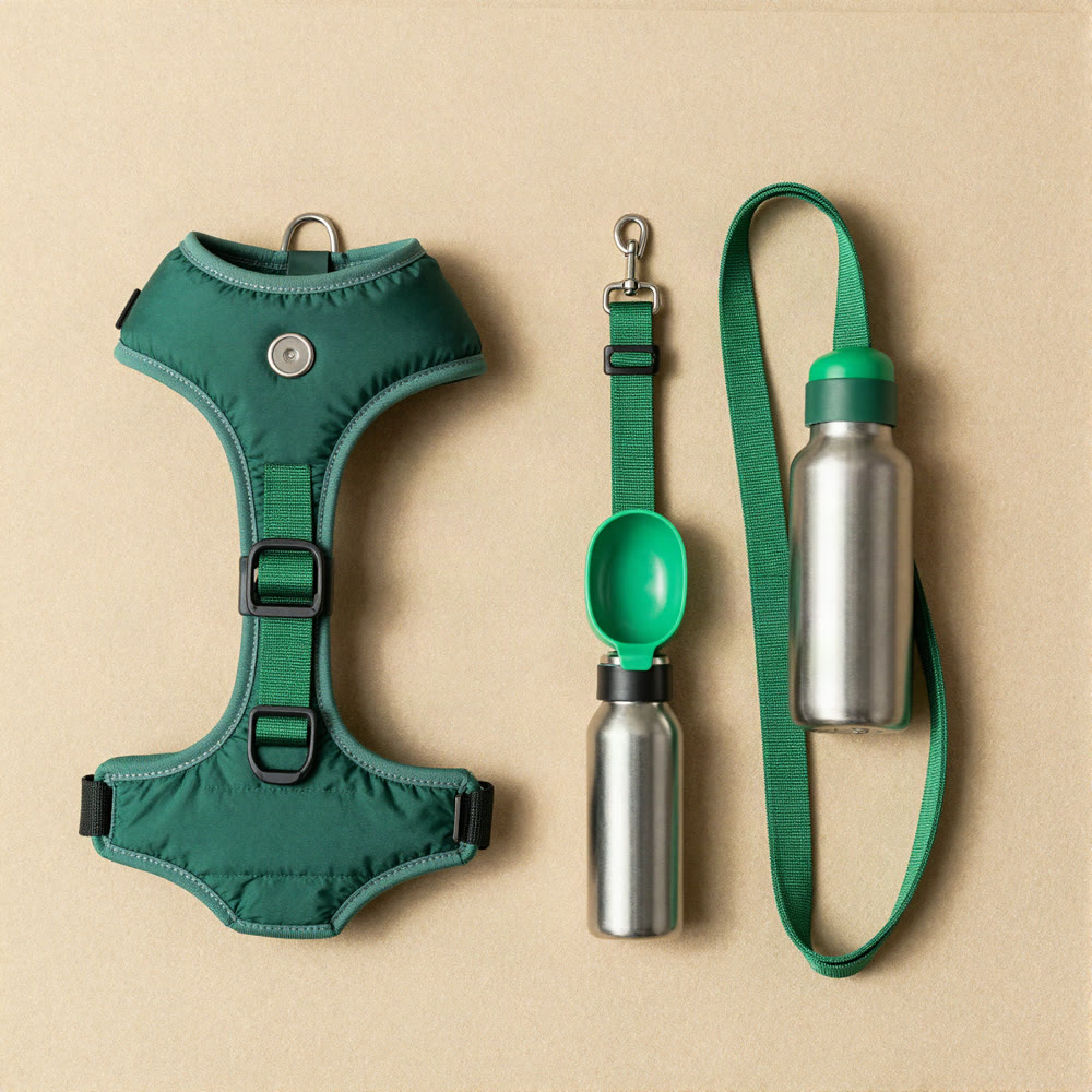 The No-Pull Walk Kit: harness, training leash and bottle