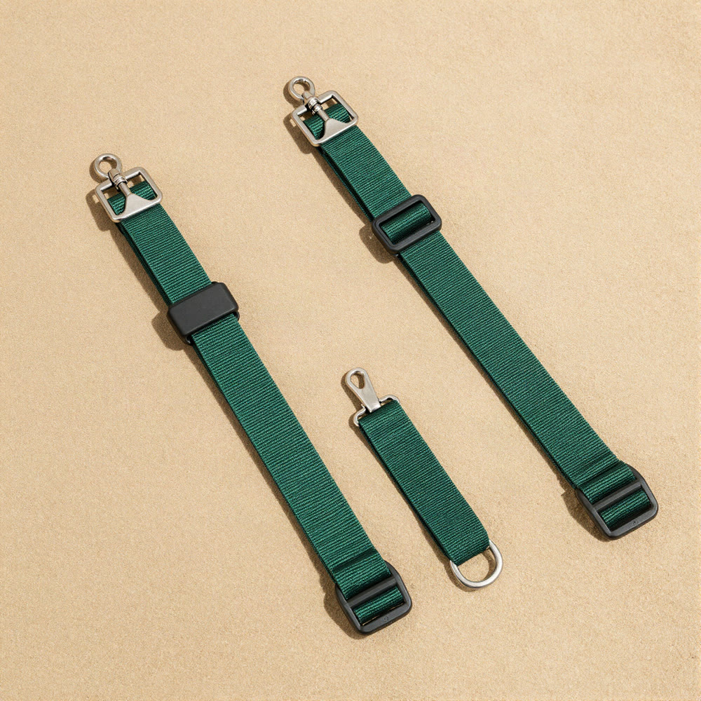 Illustration of the seat belt tether with buckle and clip