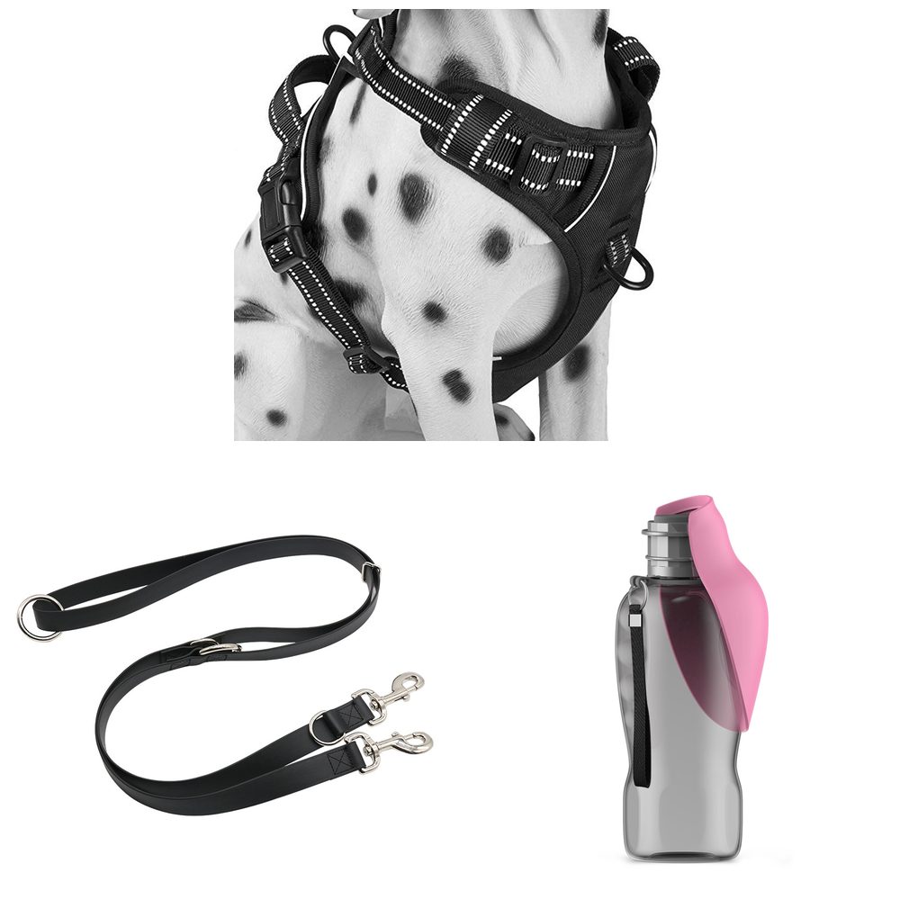 The No-Pull Walk Kit: harness, training leash and bottle